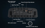 Black amplifier rear panel with RCA inputs, gain and filter controls, remote jack
