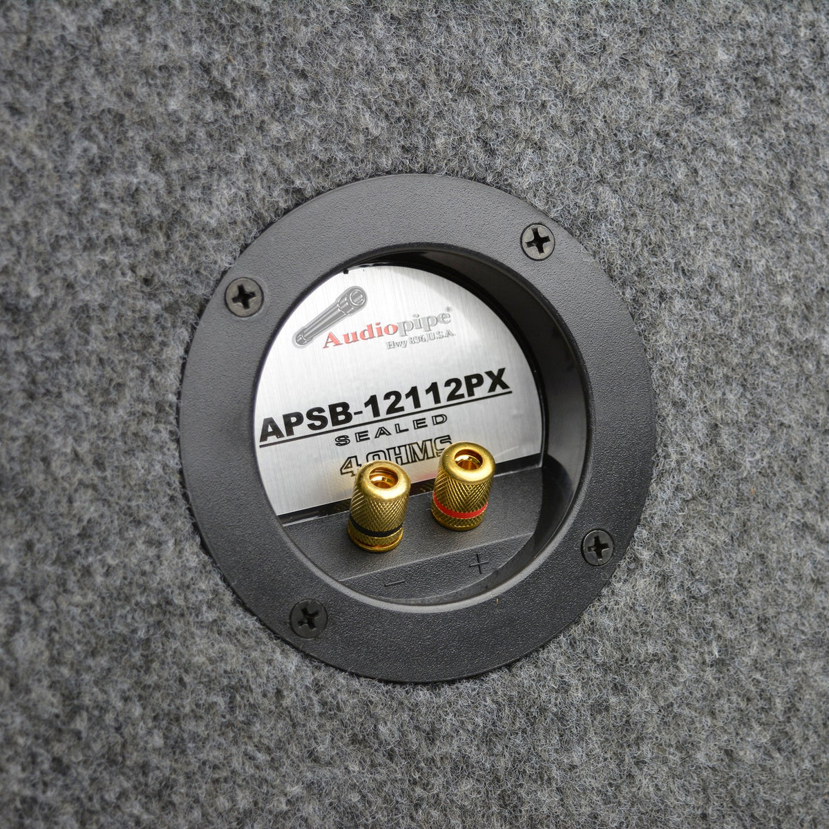 Subwoofer terminal plate with Audiopipe APSB-12112PX label and gold connectors