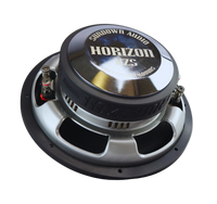 Horizon HZS 10" Subwoofer
