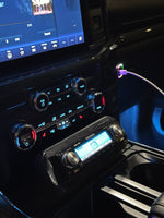 F150 21+ Single Din Mount Plate