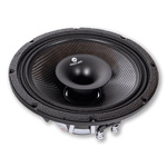 Nemesis Audio NEO-10WPF 10-Inch Water Resistant Speaker
