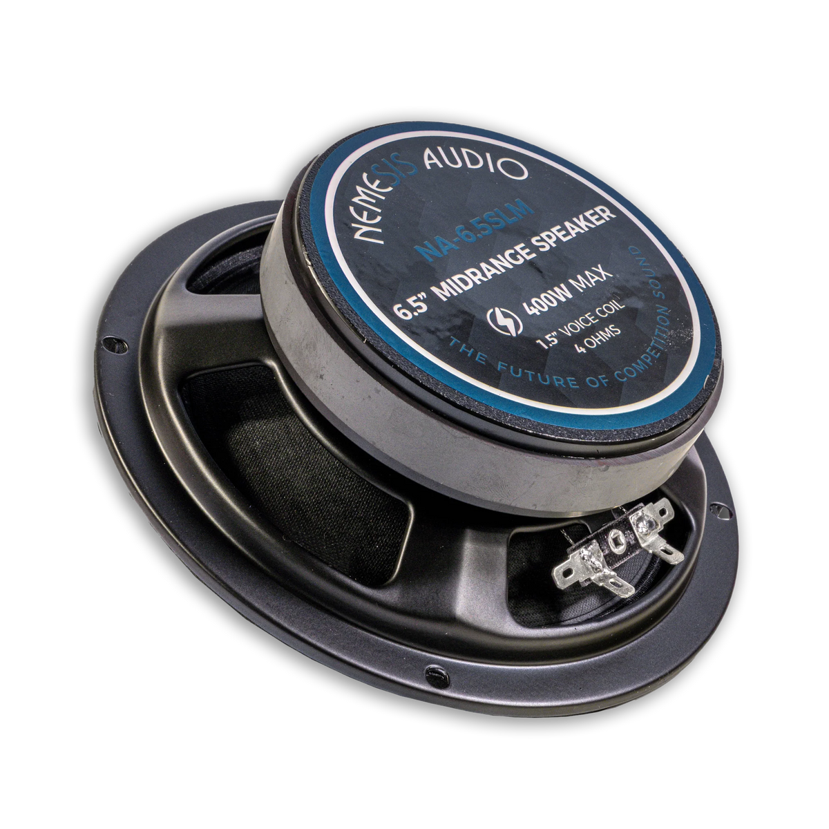 Speaker driver with printed specifications label on the top plate