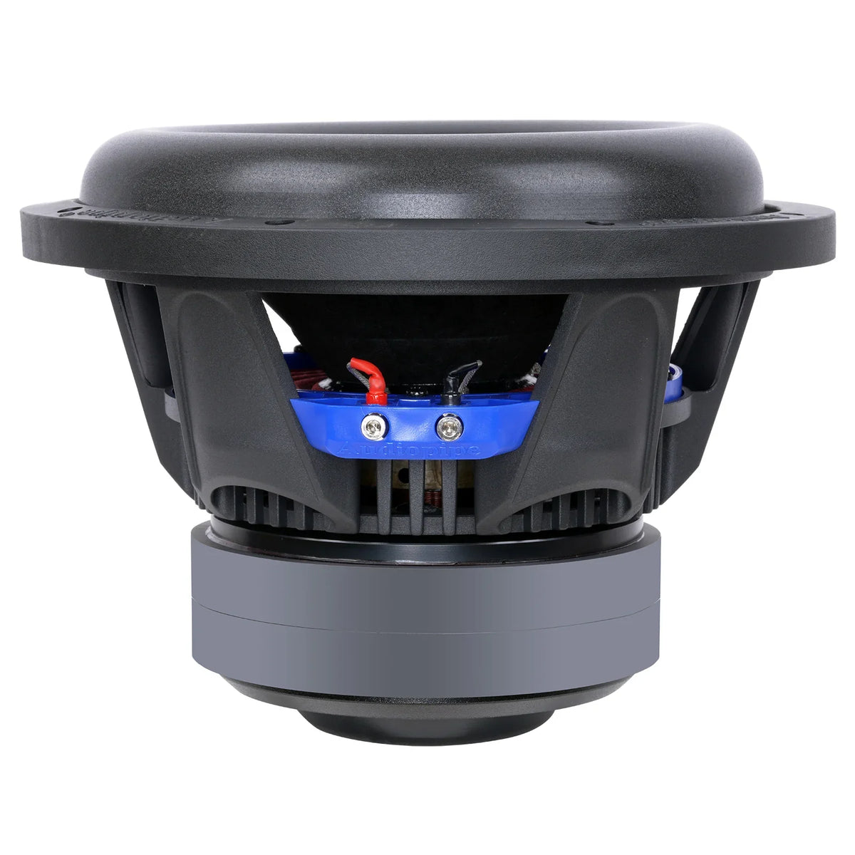 10-inch subwoofer viewed from the rear, showing blue terminal plate and wiring