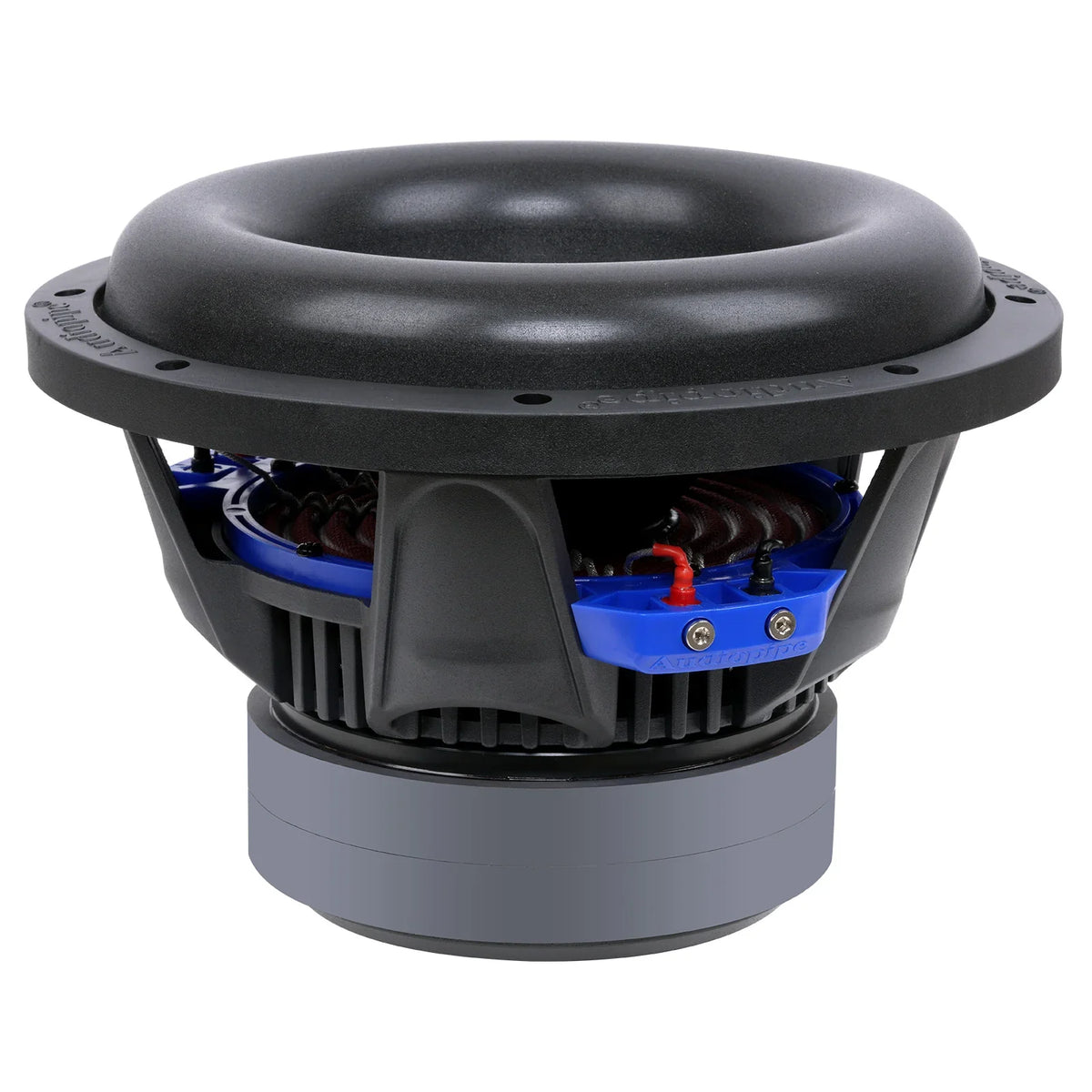 10-inch subwoofer underside with blue mounting plate and visible internal coils