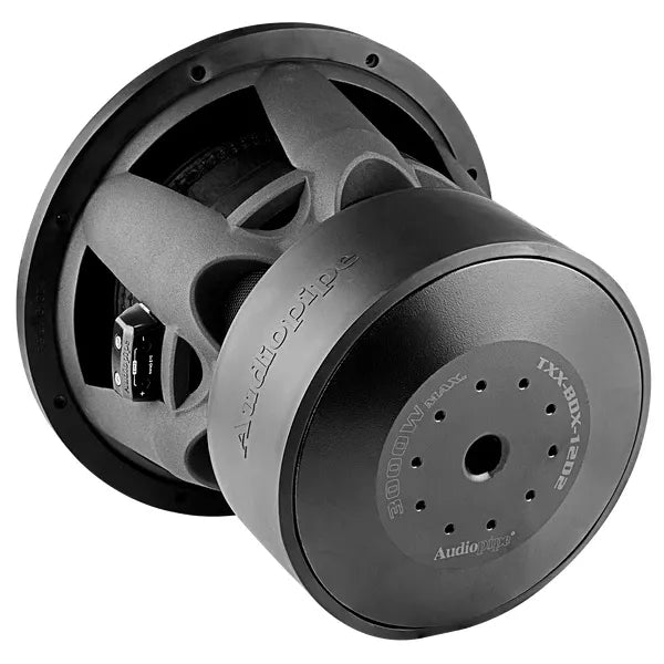 Audiopipe 12 in subwoofer with rear assembly showing cone mounting and back plate
