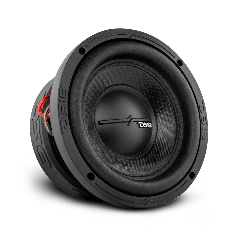 DS18 ZR6.4D