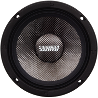 NeoPro-10 v.4 10" Pro Audio Midrange Speaker