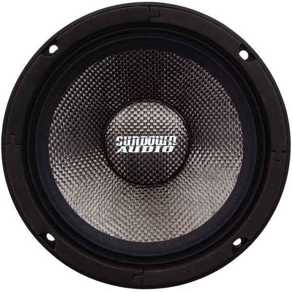 NeoPro-10 v.4 10" Pro Audio Midrange Speaker