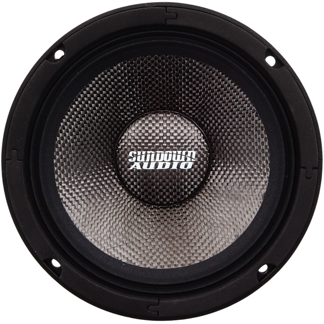 NeoPro-10 v.4 10" Pro Audio Midrange Speaker
