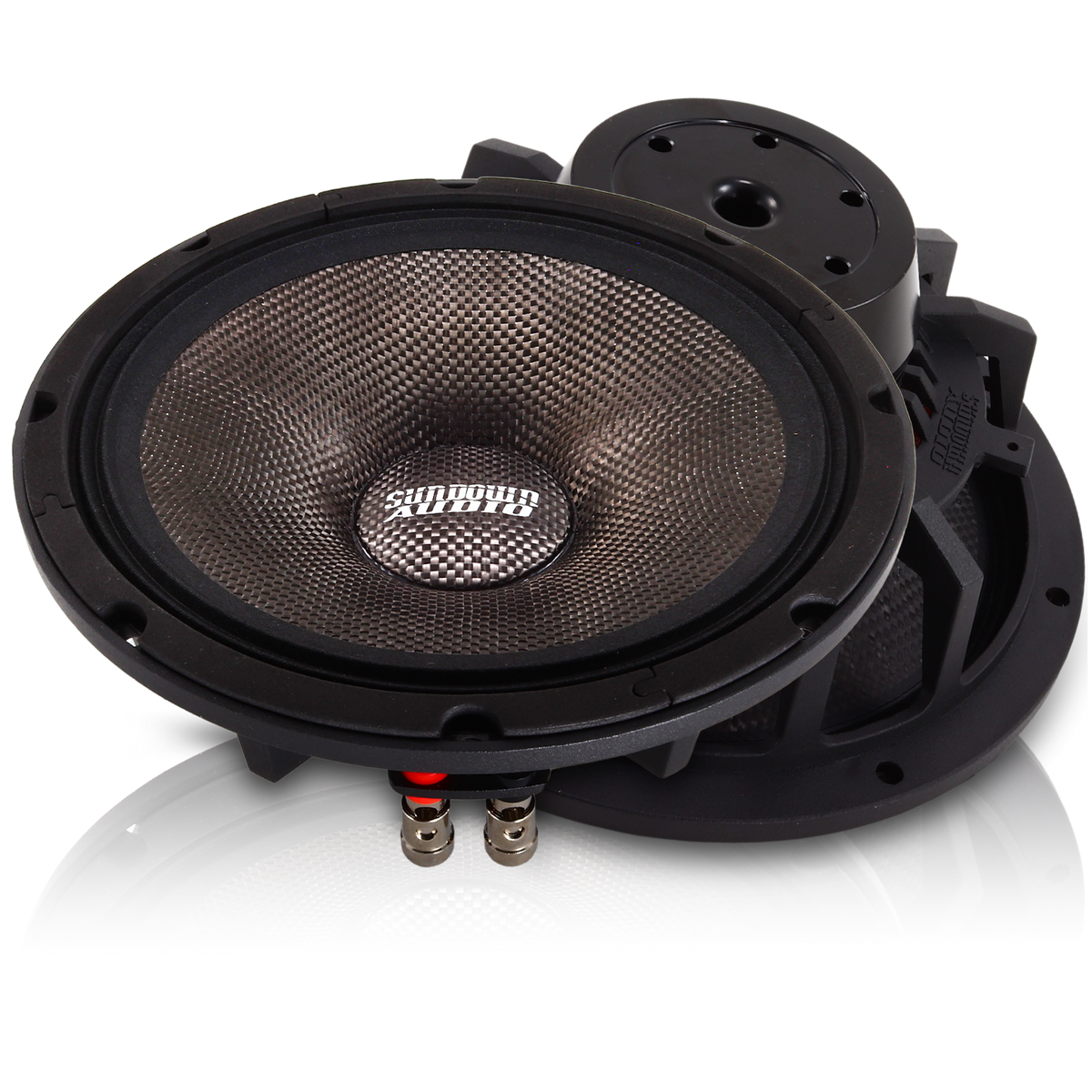 NeoPro-10 v.4 10" Pro Audio Midrange Speaker