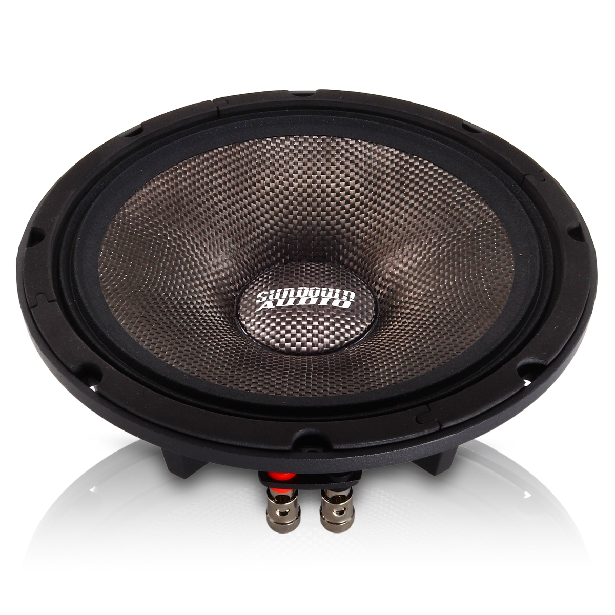 NeoPro-8 v.4 8" Pro Audio Midrange Speaker