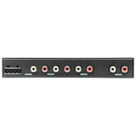 Black equalizer rear panel with RCA jacks and speaker terminal block