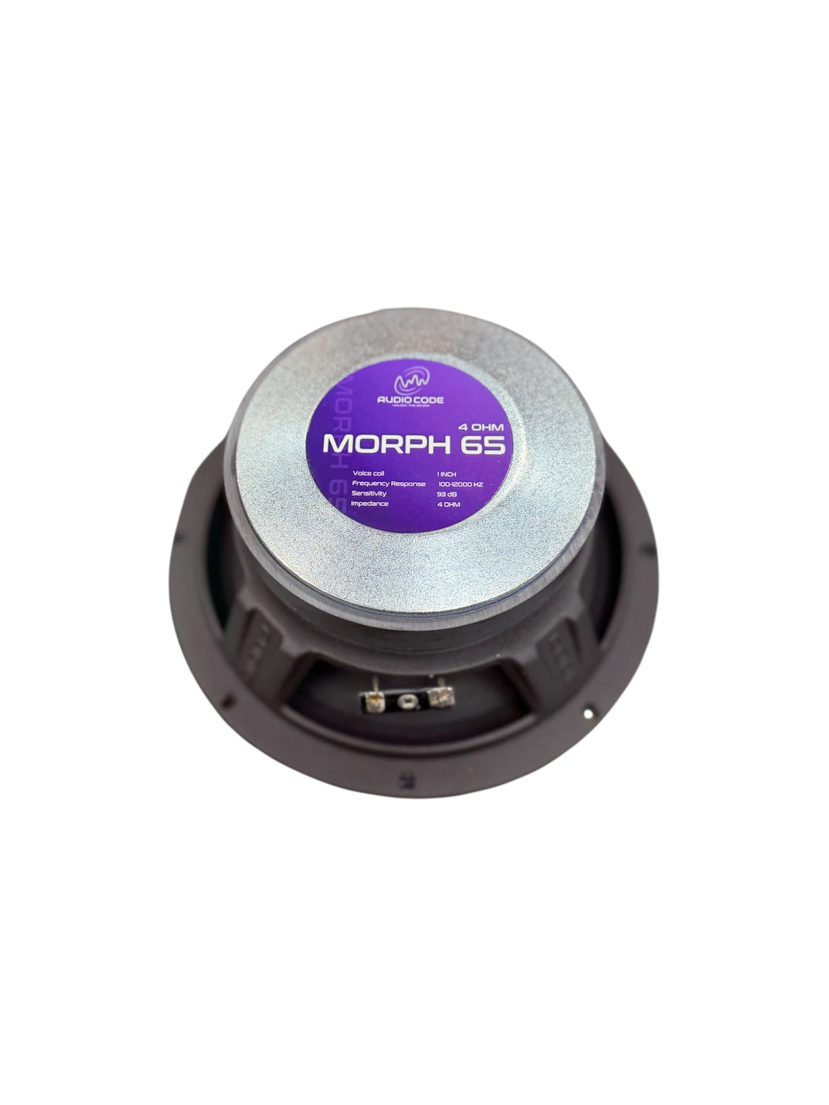 Audio Xtreme 6.5 in speaker back with purple label and dual binding posts