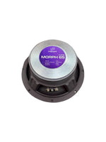 Audio Xtreme 6.5 in speaker back with purple label and dual binding posts