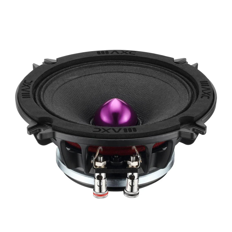 5.25-inch midrange speaker with black frame and purple cone, front view