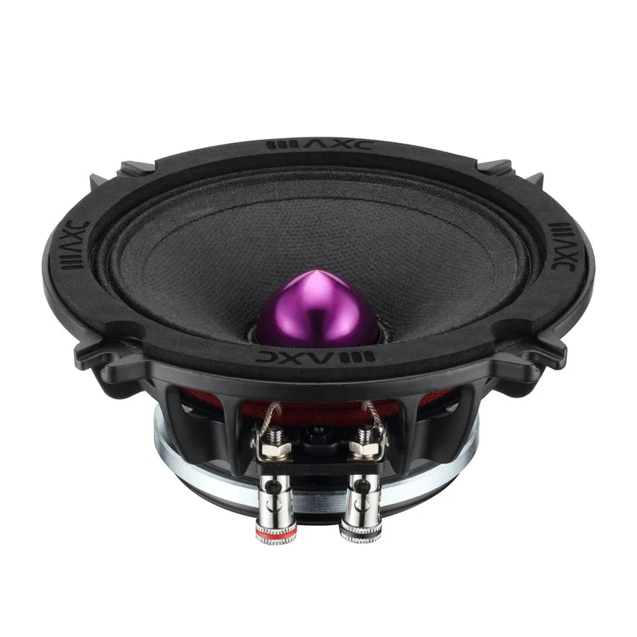 6.5-inch midrange speaker with exposed terminals and purple center dome