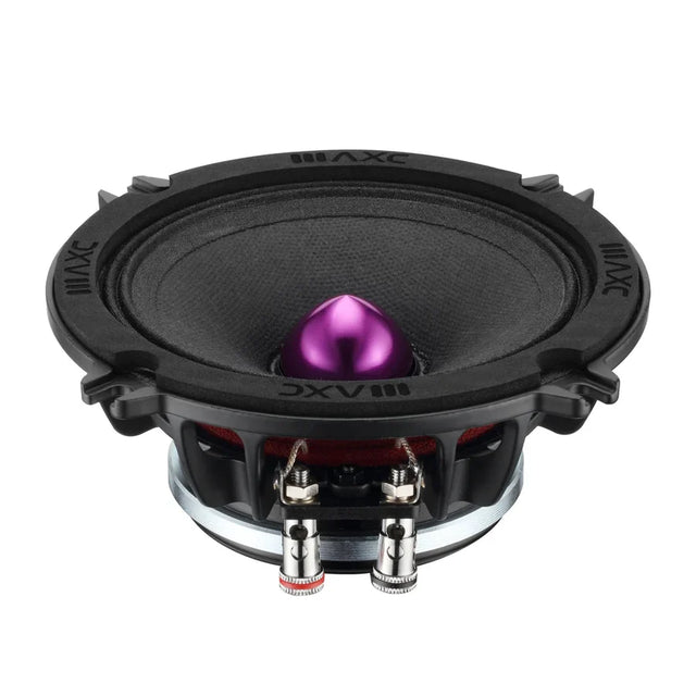 6.5-inch midrange speaker with exposed terminals and purple center dome