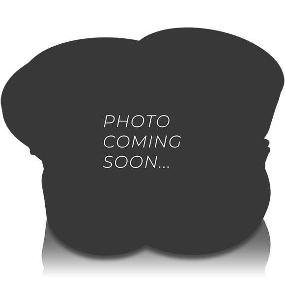 Used Nightshade NS-Series NS5 10" 3000W Subwoofer NS v.5