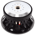 VEX-10 500 Watt Pro Audio Midrange Speaker